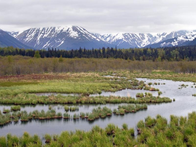 Photograph of a stream in the tundra with mountains in the background
