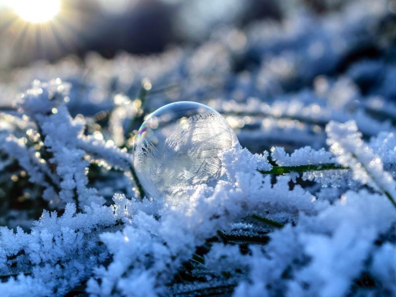 Close up photograph of a semi-frozen water droplet on frost covered sticks