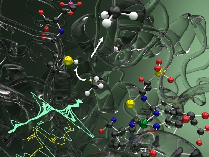 Illustration showing an enzyme structure and data