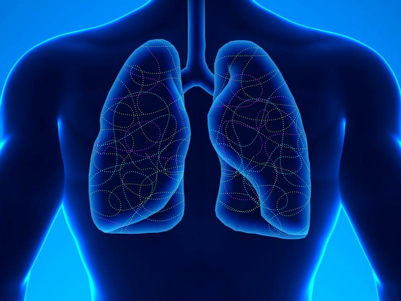 illustration of lungs with multicolored lines inside