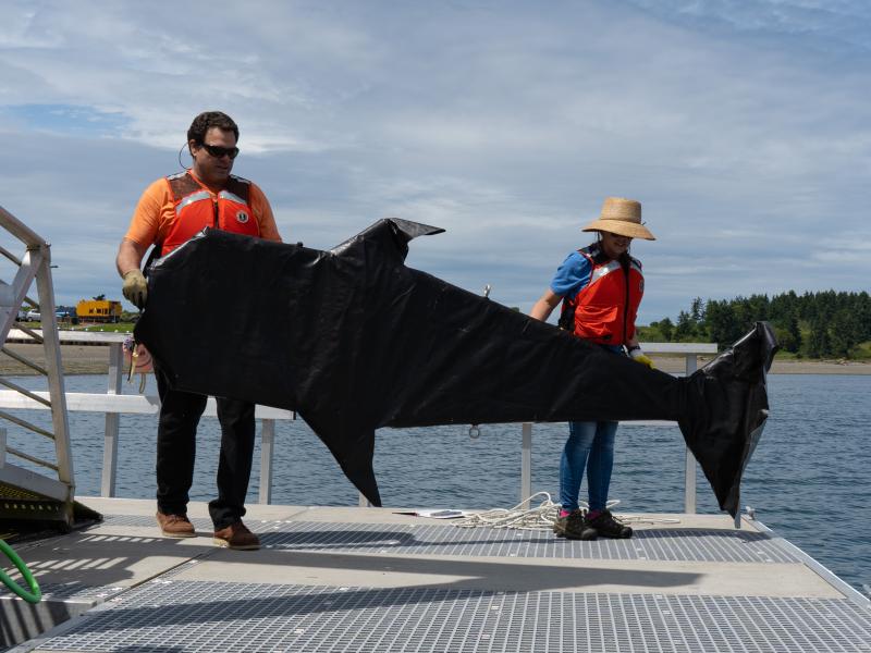 Triton researches test whale models for wildlife detection studies.