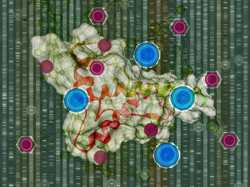 Illustration of metabolites