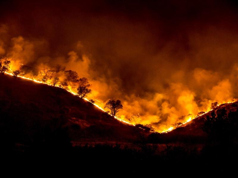 Dark image with a line of bright fire and burning trees