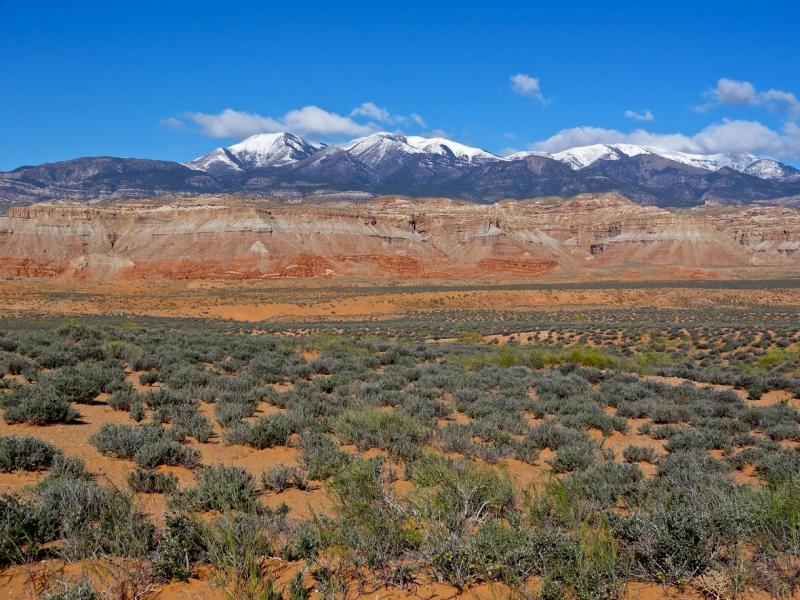Photo of drylands ecosystem in Utah. Low-lying scrub brush with mountains in the background.
