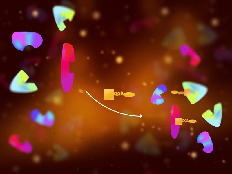 illustration of chemical probes