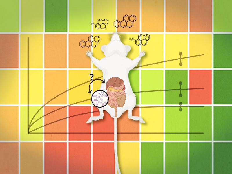 Gut Microbiome_PAHs