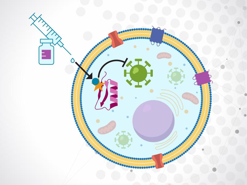 Discovery and function of post-translational modifications.