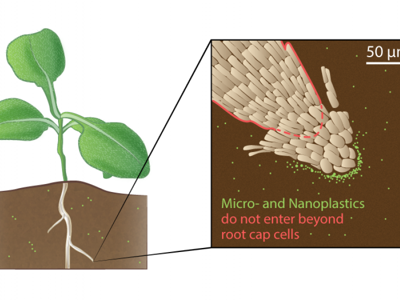 microplastics illustration