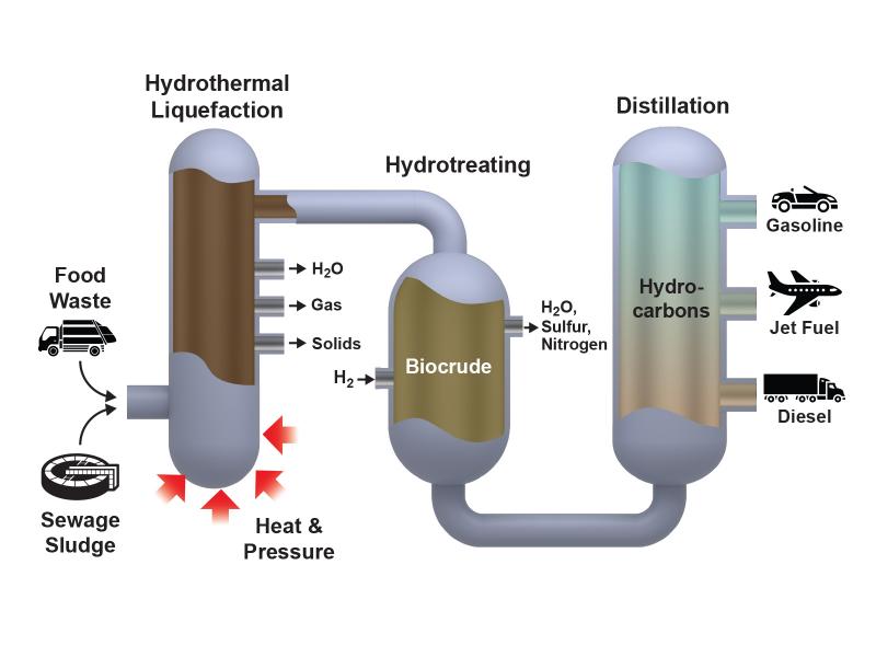 Biowaste to biofuel conversion process