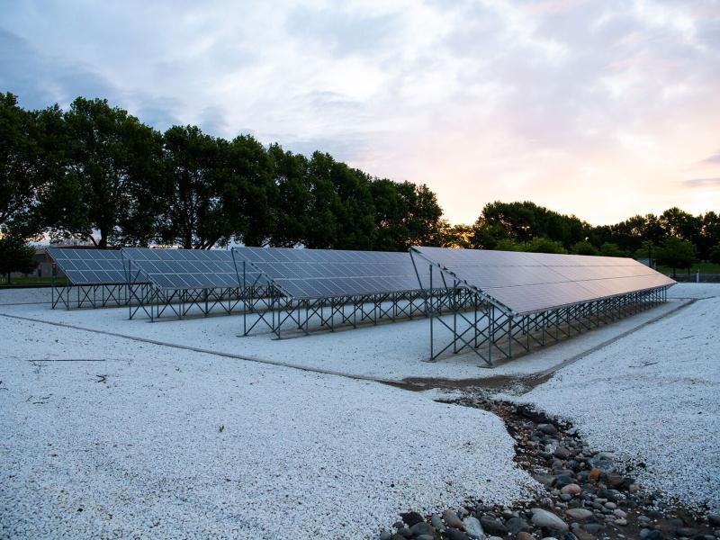 A field of solar panels surrounded by white gravel and trees