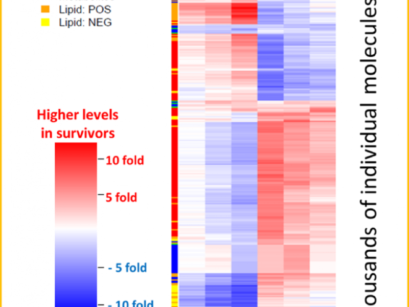 PNNL scientists and their collaborators have identified molecules in the blood that indicate which patients with Ebola virus are most likely to have a poor outcome.