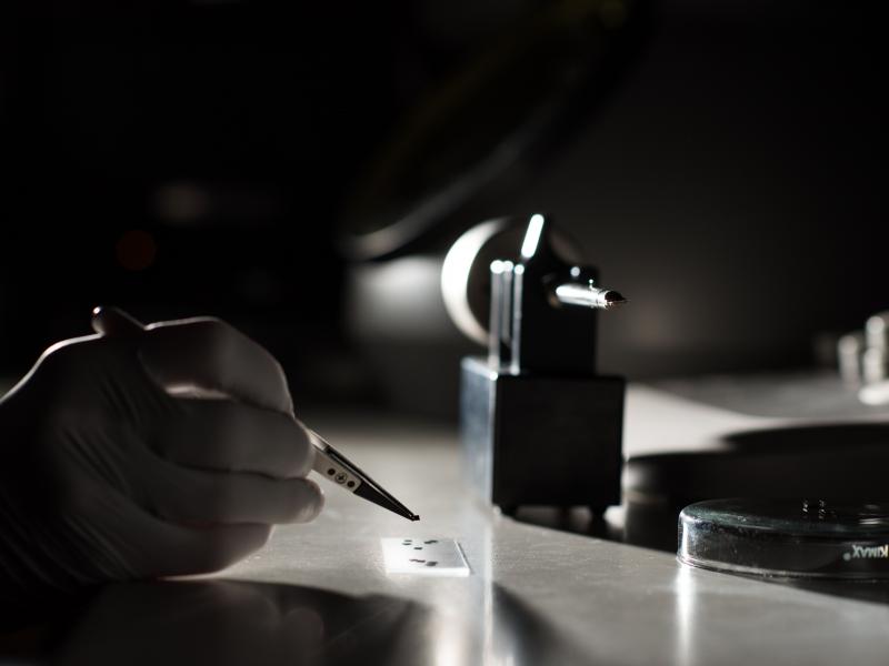 Gloved hand holding tweezers with small samples in front of a large TEM sample holder