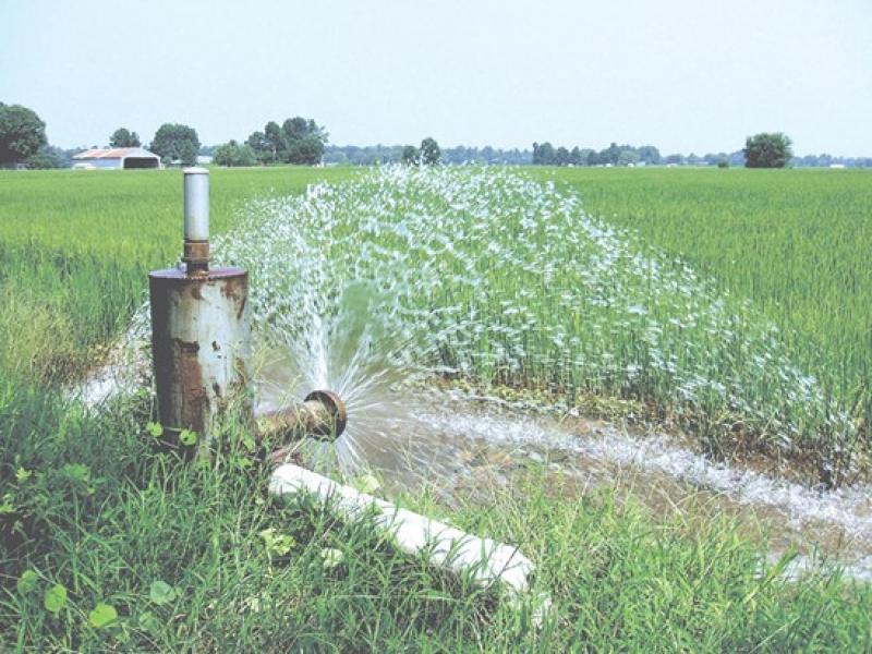 Photograph of water spraying out onto a green crop field