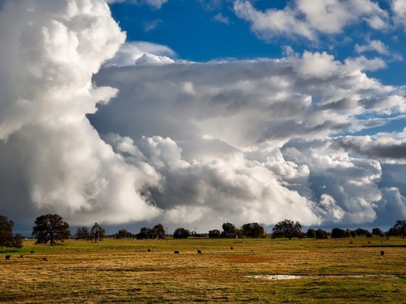 Hagos_Cloudscape_InCloudParameters_800px