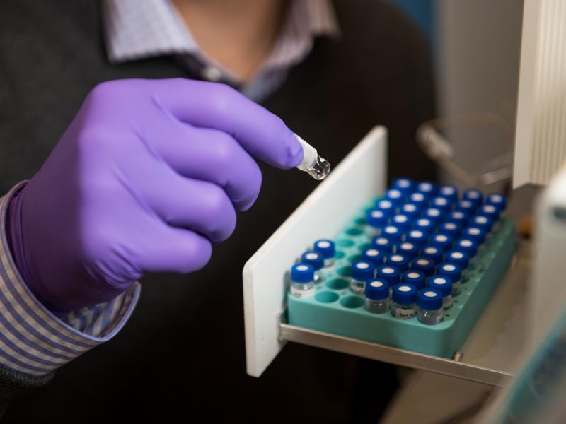 Picture of a gloved hand holding a small vial