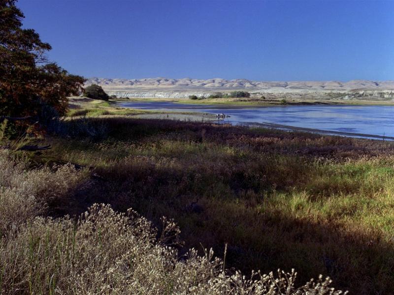 Columbia River Hanford Reach