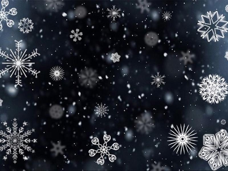 Illustration of different shaped snowflakes on a dark background.
