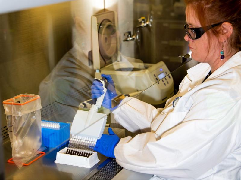 Biomedical scientist Janine Hutchison