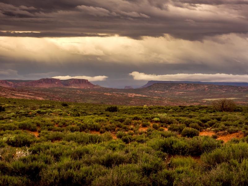 Photograph of desert landscape with clouds in the distance