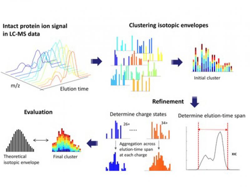 InformedProteomics