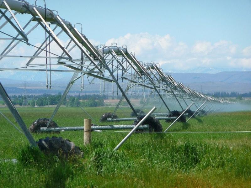 Large sprinkler system on a field of crops