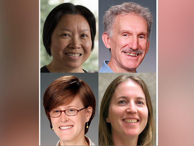 Clockwise from top left, L. Ruby Leung, Phil Rasch, Kate Calvin, and Susannah Burrows