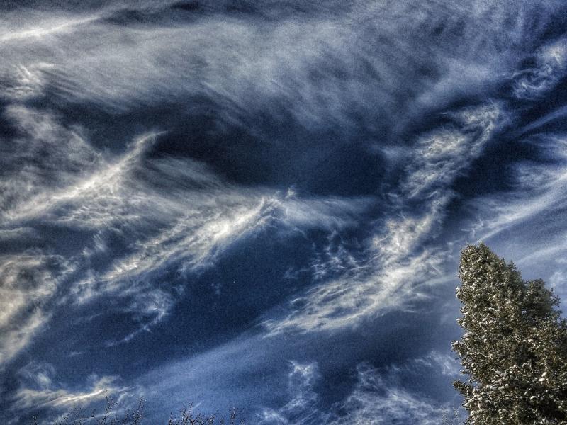 Wispy clouds on a dark blue sky with a snow-dusted tree