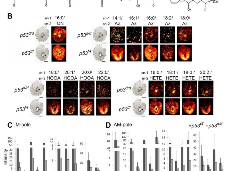 Laskin_Chemical_Imaging