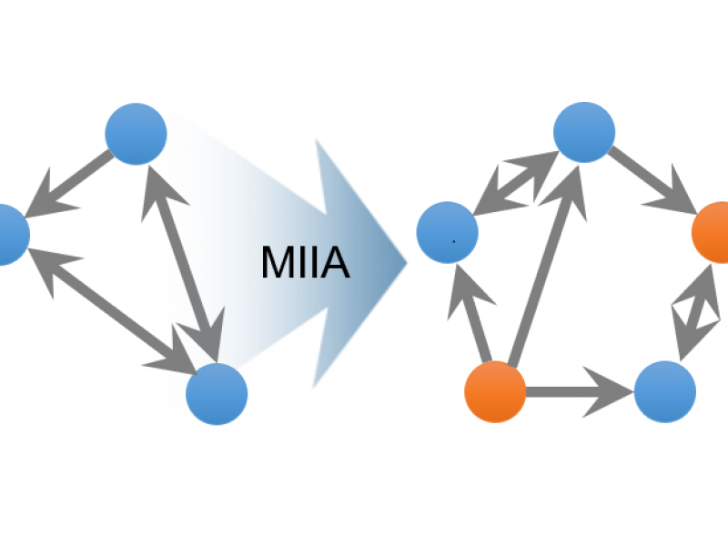 MIIA diagram