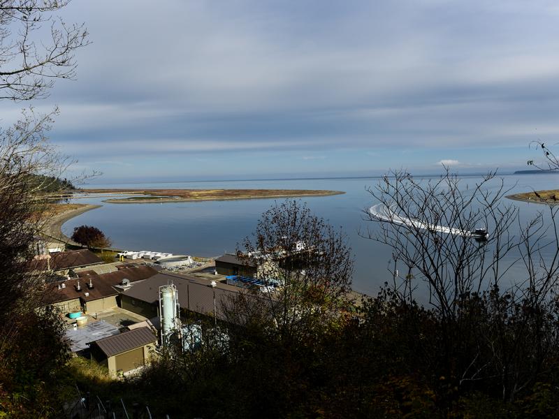 Marine Sciences Laboratory