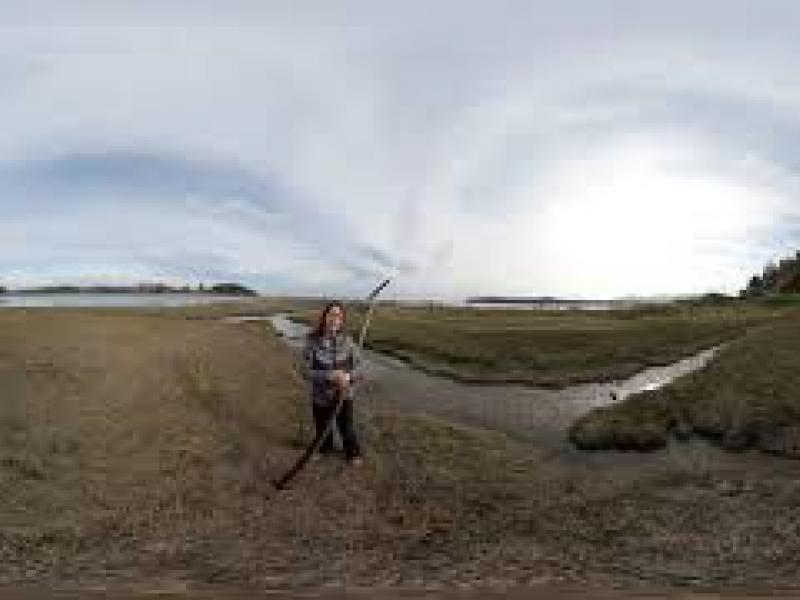 Marsh Studies