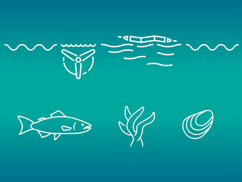 Graphic representing marine energy and aquaculture research at PNNL.