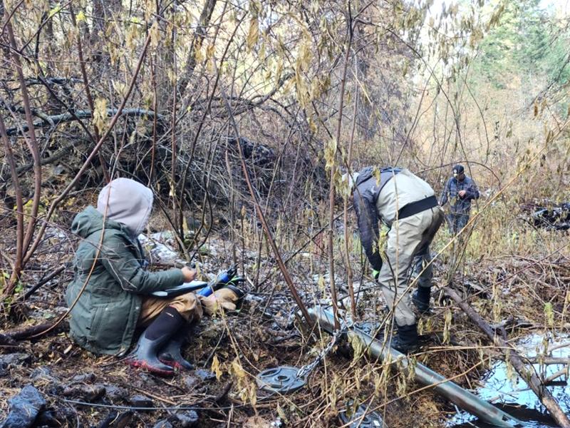 Three scientists investigating a creek.