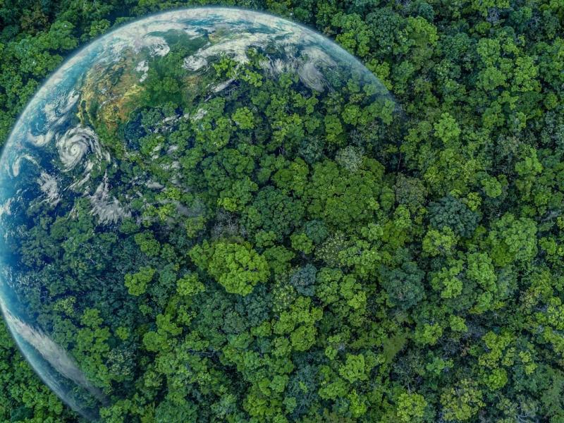 Photo of treetops with the Earth partially superimposed
