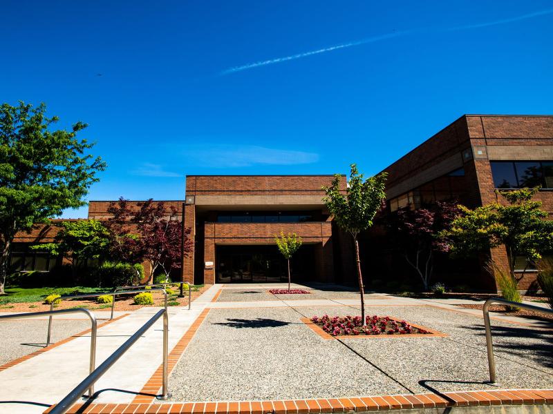 an angular brick building with glass double doors and a brick and cement walkway surrounded by trees