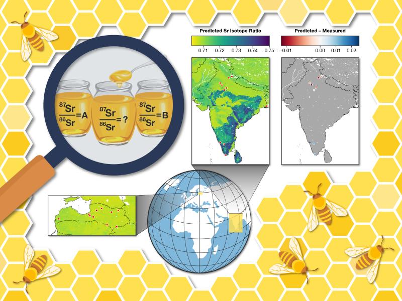 Image composition of a magnifying glass over honey adjacent to maps, indicating science to determine honey's geographic source