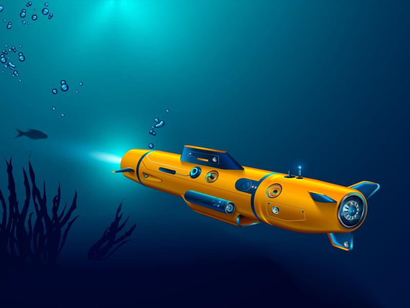 Autonomous Underwater Vehicle