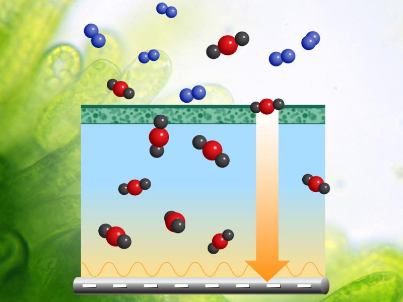 a schematic of a system to capture carbon dioxide from air