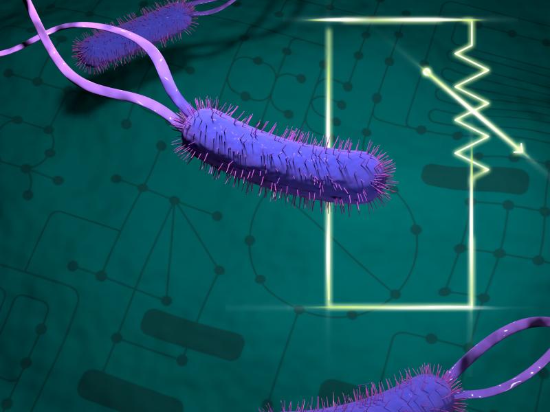 illustration of purple bacteria swimming over a green circuit diagram