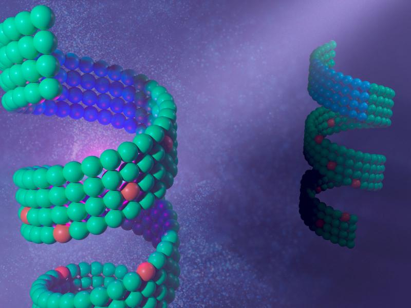 Image showing left and right handed peptoid helices