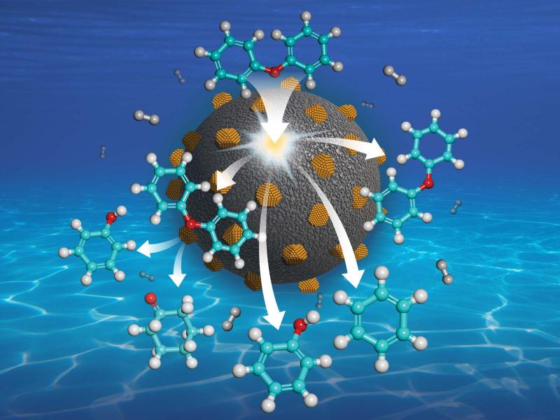Sphere with metal islands performing catalysis on small molecules on a water-like background