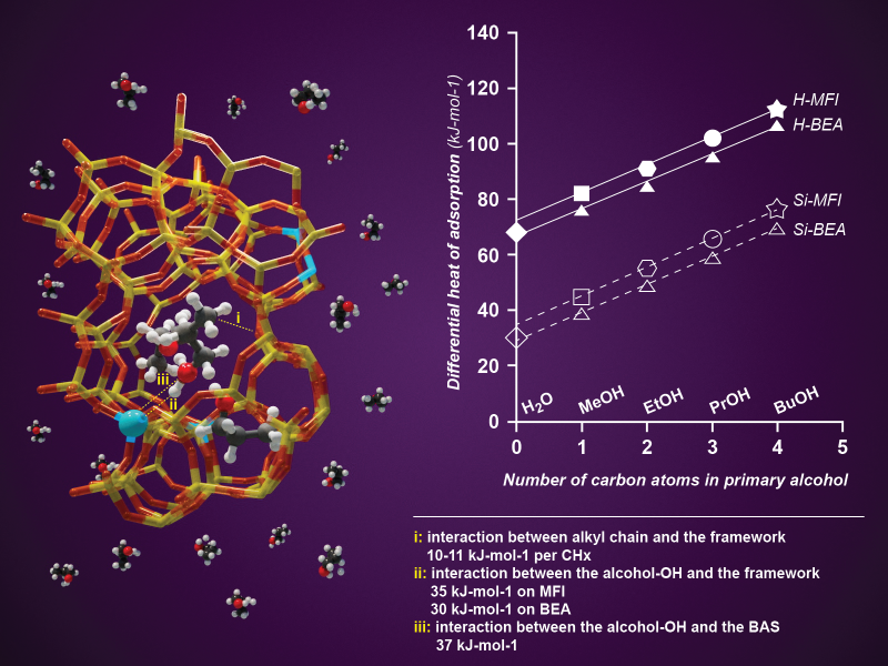 Image showing a zeolite pore and the adsorption energies