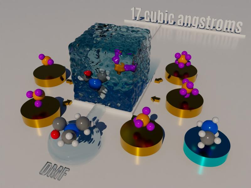 Schematic depicting different chemical species and their stability in a solution.