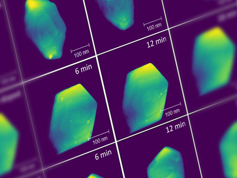 close up of multicolored electron microscope images