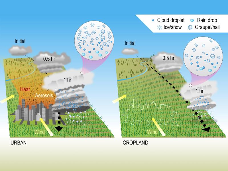 This infographic depicts how a storm propagates when near a city versus passing through cropland. (Image by Nathan Johnson | PNNL)