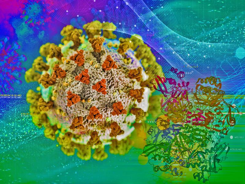 illustration of coronavirus particle and structure of nsp15 protein