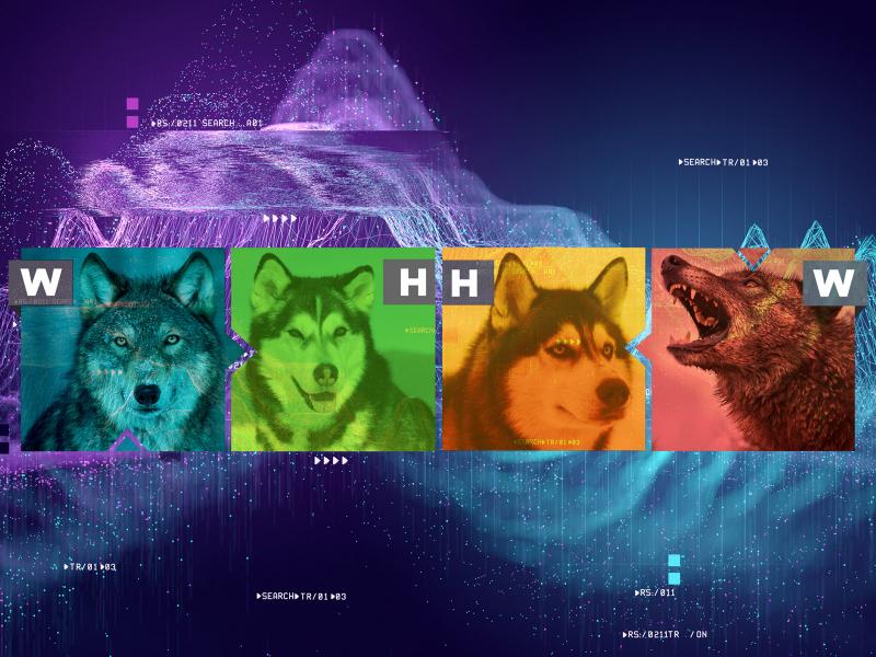 Explainable AI illustration