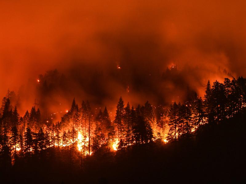 Wildfire rages near the Columbia River Gorge in the 2017 Eagle Creek Fire. Hydro-meteorological conditions like humidity, as well as human-caused factors, are essential in predicting and preparing for wildfire, according to PNNL scientists. (© Christian Roberts-Olsen | Shutterstock.com)