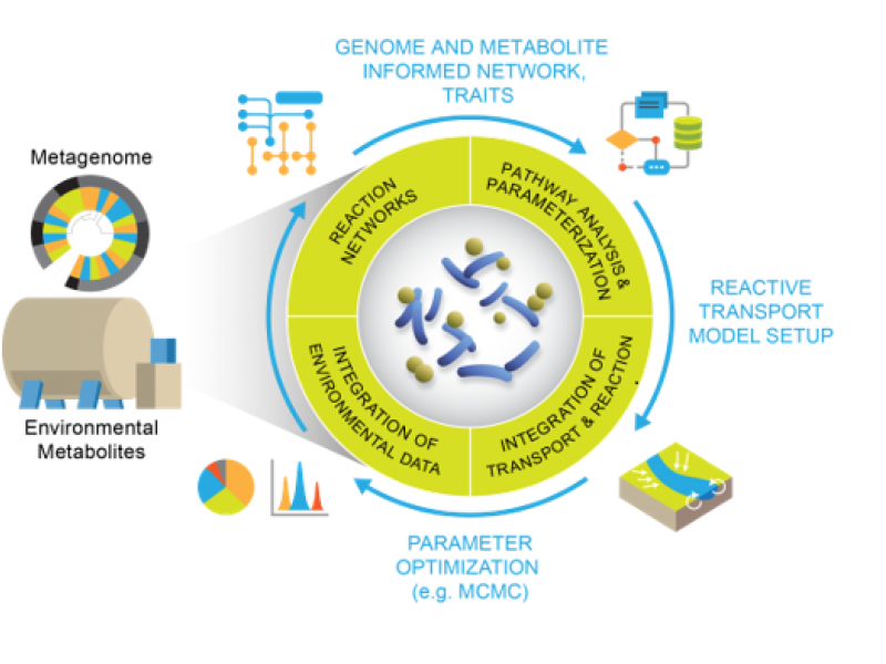 Reactive transport model