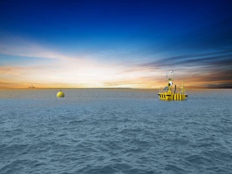 Buoy on water at Marine and Coastal Research Laboratory.
